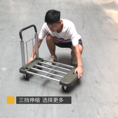 Factory adjustable size platform trolley (1)