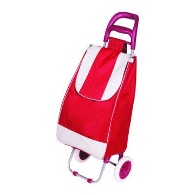 Lightweight folding shopping trolley (1)